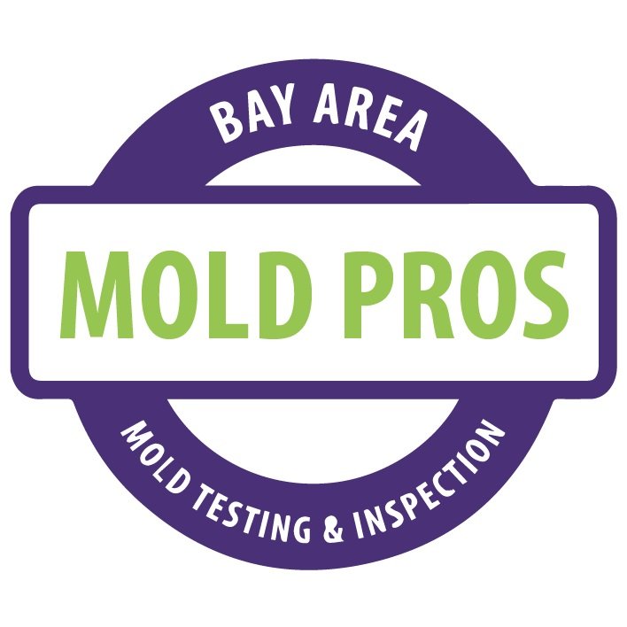 Mold Inspection services in San Carlos, California 