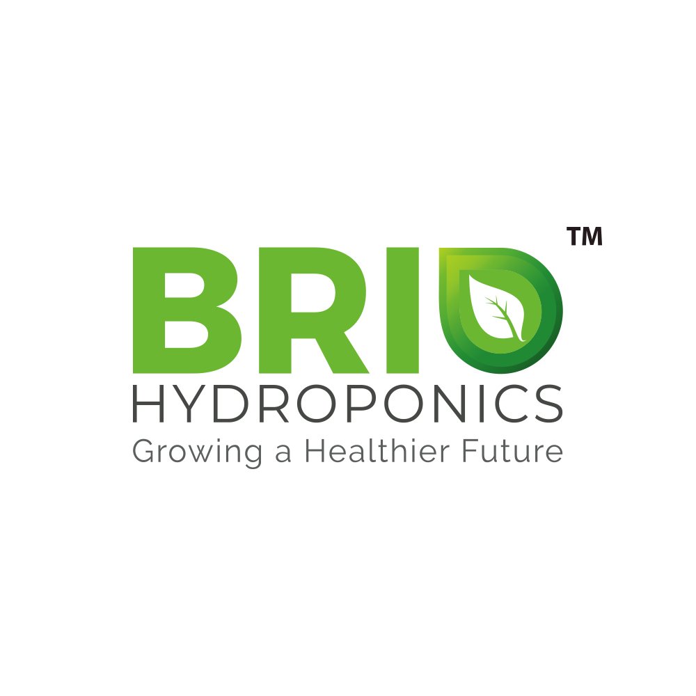 Hydroponic Farming Setup | hydroponic Farming in India