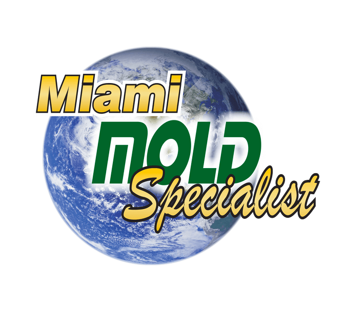 Mold Removal Services in Miami and Surrounding 
