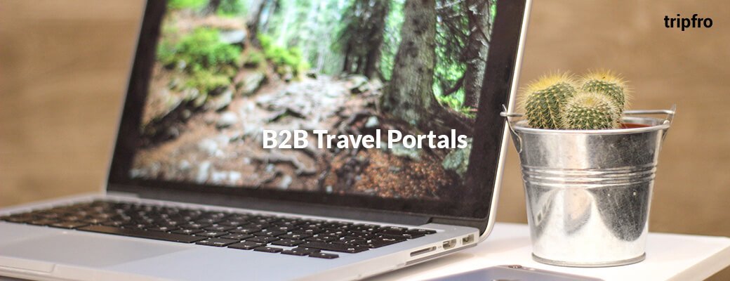 B2B travel portal development