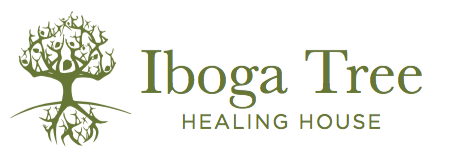 Ibogaine Treatment - Safe, Professional and Affordable Treatment: Iboga Treatment Centre